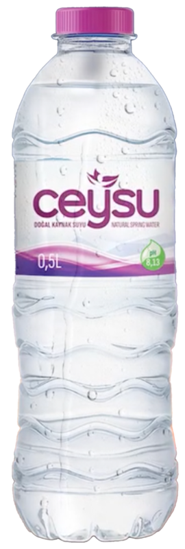 CEYSU Mineraal water   24x0,5L (S)