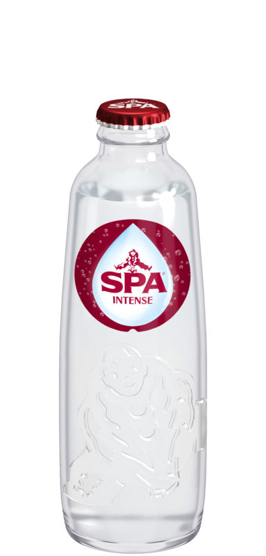 SPA Rood   28x0,25L-GLAS